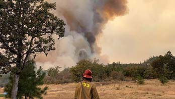 Back of firefighter walking towards smoke filled sky